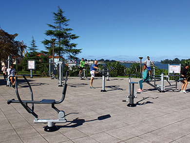 DP650 machine para parco fitness castellon