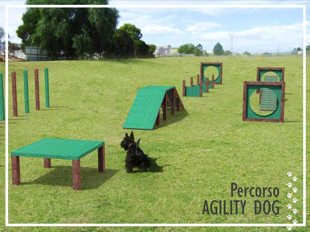 ttrezzi per Agility Dog in Strongplast pacchetto completo